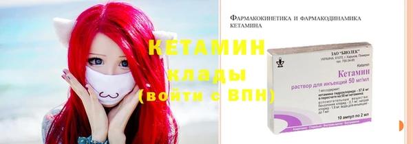 дурь Пересвет
