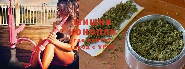 сатива Абдулино