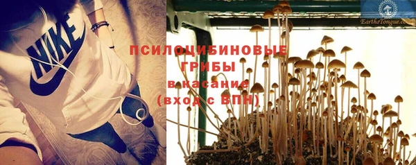 сатива Абдулино